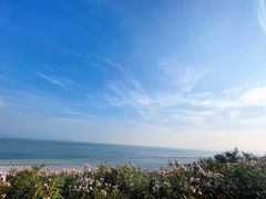 -玫瑰海岸文化旅游度假区