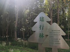 -东平国家森林公园