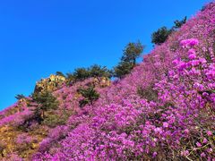 -青岛大珠山景区