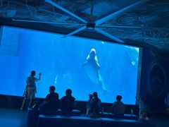-海合安成都极地海洋公园