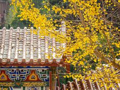 -开福禅寺
