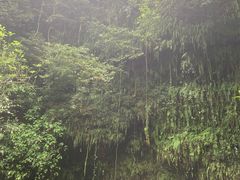 -海口火山口国家地质公园