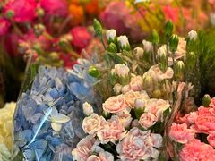 -朝来春花卉市场
