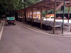 -武陵山森林公园