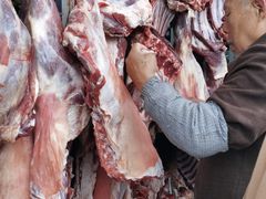 -金堂何记黑山羊羊肉店(泰康茗苑店)