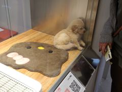 -狗道宠物(常熟印象城店)