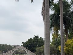 -金砂公园