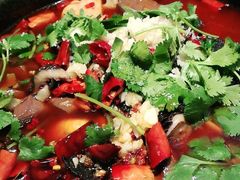 -雀蓝川菜(奥体广场店)