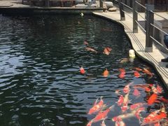 湖鲜楼-湖鲜楼