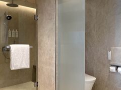 -新加坡文华东方酒店