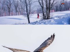 -中旅松花湖滑雪场