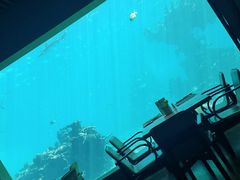 -海棠湾洲际-涛·海底餐厅·美人鱼·自助餐·海底隧道