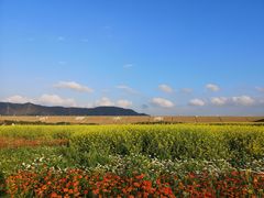 景点-光明小镇欢乐田园