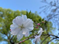 -柳侯公园