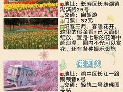 -南山植物园