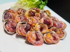 -高佳庄·舟山海鲜(海景旗舰店)