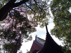 -上海方塔园
