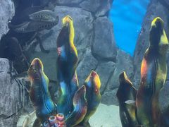 -福州罗源湾海洋世界旅游区