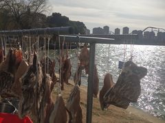 -阳澄湖半岛旅游度假区