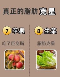 -Fundi张玉珊修身堂·indiba·BTL科技瘦身