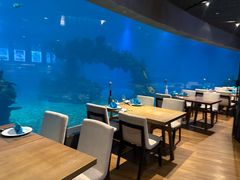 -涛·海底餐厅·美人鱼·自助餐·海底隧道(三亚海棠湾洲际度假酒店)