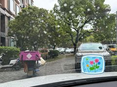 -山姆会员商店(上海浦东店)