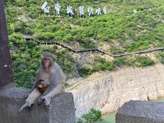 -白帝城·瞿塘峡景区