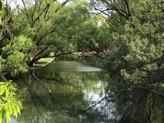 -上海共青森林公园