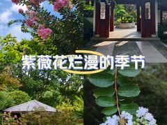 -莘庄公园