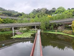 -福道