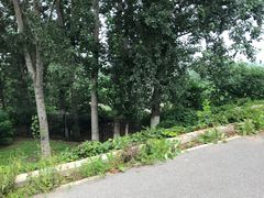 -东郊湿地公园