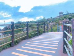 -广东惠东海龟国家级自然保护区
