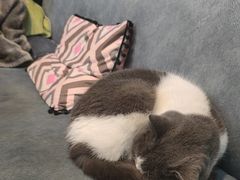 -悠米私人影院(街道口店)