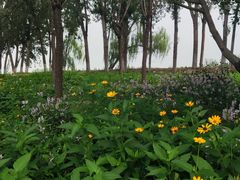 -东郊湿地公园