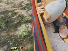 -西青郊野公园