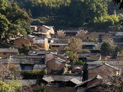 -杨家堂村