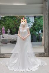 -MuseMarry婚纱(前海嘉里中心店)
