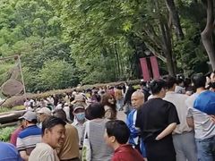 -人民公园-相亲角
