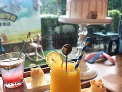 -柴犬高等学院·狗咖·柴犬售卖·宠物训练