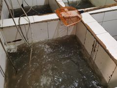 -老船夫石锅苗苗鱼·老字号(三道堰总店)