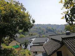 -龙井村