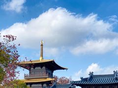-广富林郊野公园
