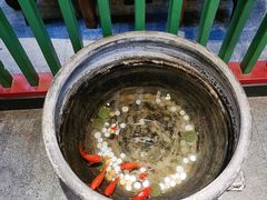 -大海碗·京菜炸酱面(雍和宫店)