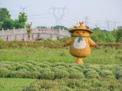 -嘉北郊野公园