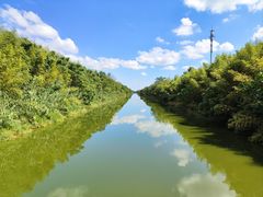 -黄海国家森林公园