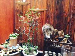 -游刃刺青TATTOO纹身工作室