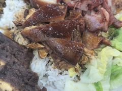 -瑞霖·隆江猪脚饭