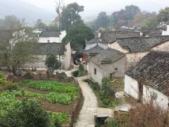 -塔川景区
