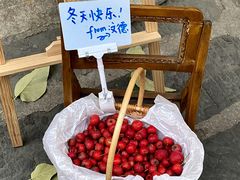 -苏家巷36号公馆