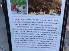 -青岛崂山太清宫